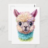 Farbenfrohe Baby Lama Postkarte (Vorne/Hinten)