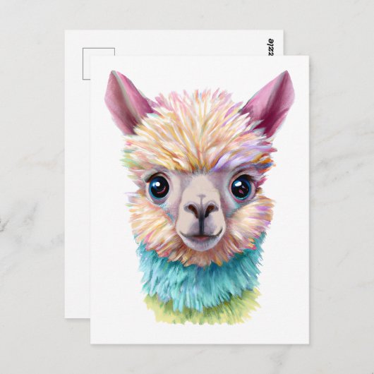 Farbenfrohe Baby Lama Postkarte (Vorne/Hinten)