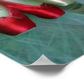 Farbenfrohe Ballettschuhe Poster (Ecke)