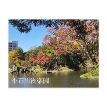 Farbenfrohe Bäume Landschaft im japanischen Garten