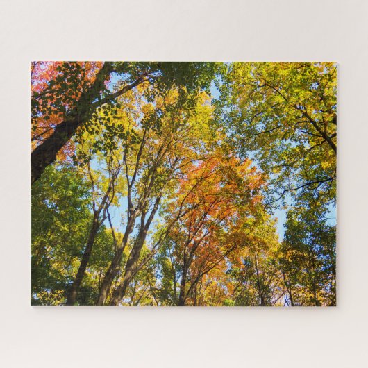 Farbenfrohe Bäume Puzzle (Horizontal)