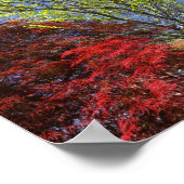 Farbenfrohe Bäume und Bushes im Frühling Poster (Ecke)