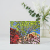 Farbenfrohe Bäume und Bushes im Frühling Postkarte (Stehend Vorderseite)