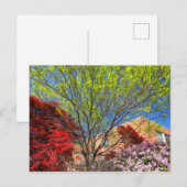 Farbenfrohe Bäume und Bushes im Frühling Postkarte (Vorne/Hinten)