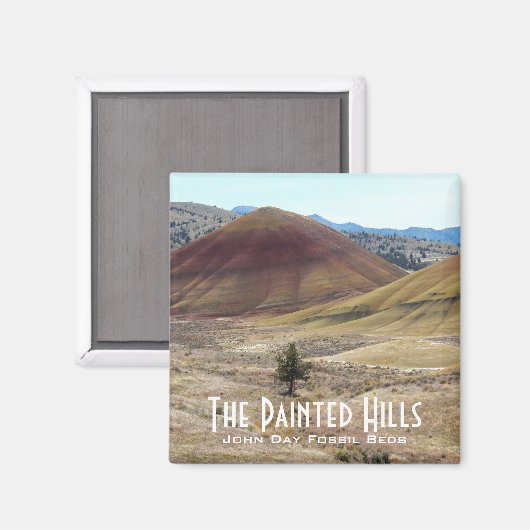 Farbenfrohe bemalte Hügel Landschaft Magnet (Vorderseite/Rückseite)