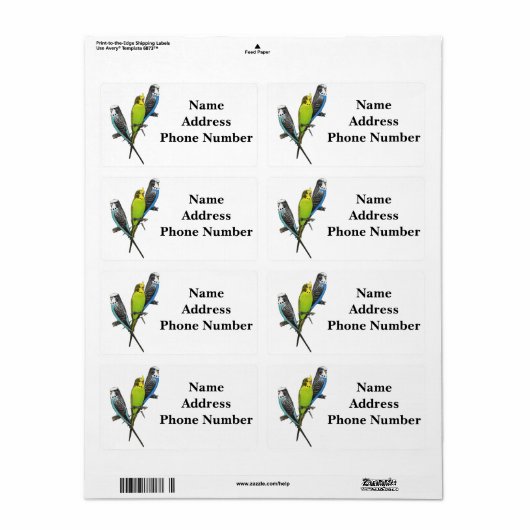 Farbenfrohe Bilder (Vorne)