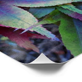 Farbenfrohe Blätter für die Herbstmaple Poster (Ecke)