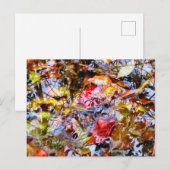 Farbenfrohe Blätter Pinakothek Züst Postkarte (Vorne/Hinten)