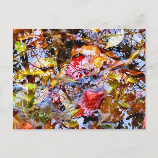 Farbenfrohe Blätter Pinakothek Züst Postkarte (Vorderseite)