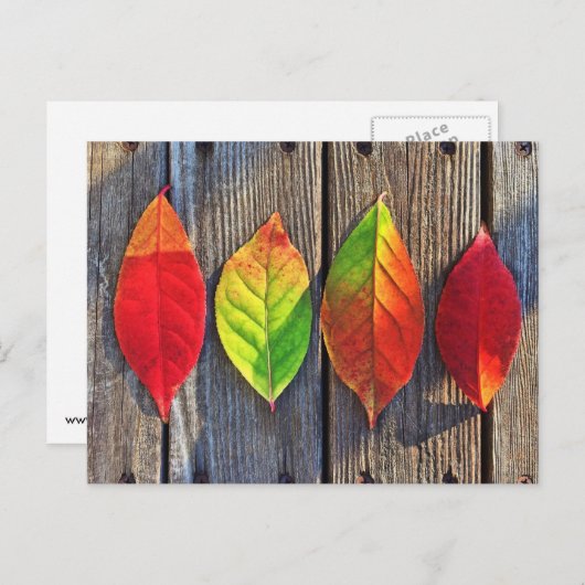 Farbenfrohe Blätter Postkarte (Vorne/Hinten)