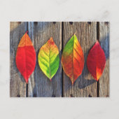 Farbenfrohe Blätter Postkarte (Vorderseite)