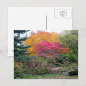 Farbenfrohe Blätter Postkarte (Vorne/Hinten)