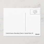 Farbenfrohe Blätter Postkarte (Rückseite)