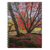 Farbenfrohe Blätter und Bäume im Herbst Landschaft Notizblock (Vorderseite)