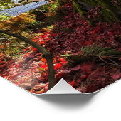 Farbenfrohe Blätter und Bäume im Herbst Landschaft Poster (Ecke)