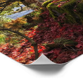 Farbenfrohe Blätter und Bäume im Herbst Landschaft Poster (Ecke)