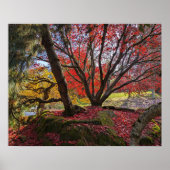 Farbenfrohe Blätter und Bäume im Herbst Landschaft Poster (Vorne)