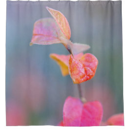 farbenfrohe Blätter von Cotonou Duschvorhang