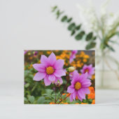 Farbenfrohe blühende Dahlia Blume Postkarte (Stehend Vorderseite)