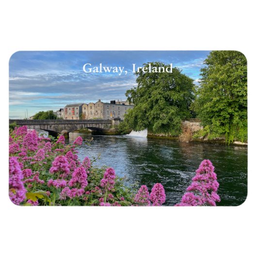 Farbenfrohe Blume am Corrib Galway, Irland 2 Magnet (Horizontal)
