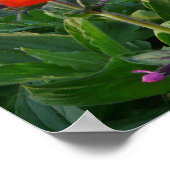 Farbenfrohe Blume Bed mit roten Mohnchen Poster (Ecke)