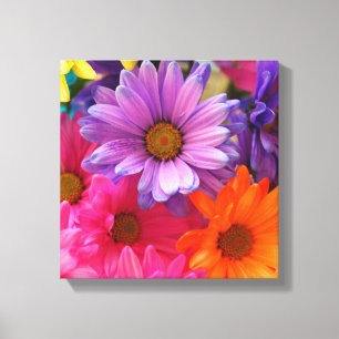 Farbenfrohe Blume Daisis Leinwand Single