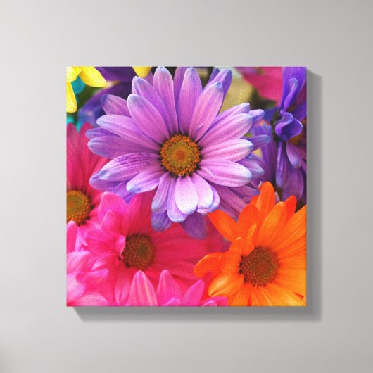 Farbenfrohe Blume Daisis Leinwand Single (Vorderseite)