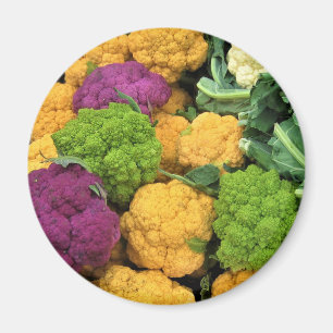 Farbenfrohe Blume, Dekoration im Herbst Magnet