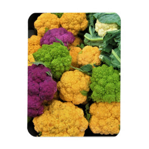 Farbenfrohe Blume, Dekoration im Herbst Magnet