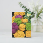 Farbenfrohe Blume, Dekoration im Herbst Postkarte (Stehend Vorderseite)