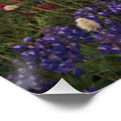 Farbenfrohe Blume im Rainier Nationalpark Poster (Ecke)