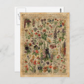 Farbenfrohe Blume Kräuter Wörterbuch Kunst Postkarte (Vorne/Hinten)