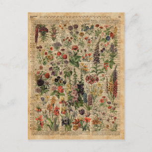 Farbenfrohe Blume Kräuter Wörterbuch Kunst Postkarte
