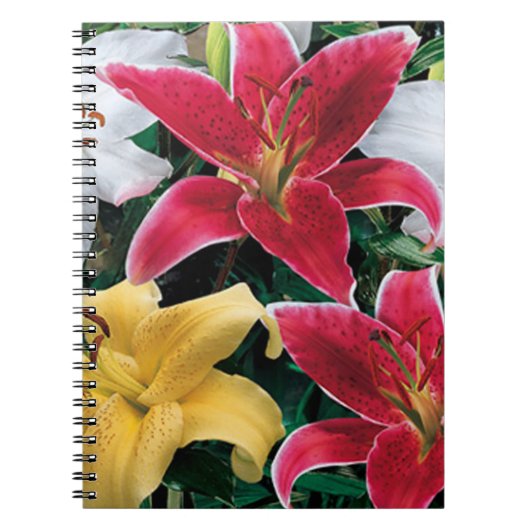 Farbenfrohe Blume SpiralNotebook Notizblock (Vorderseite)