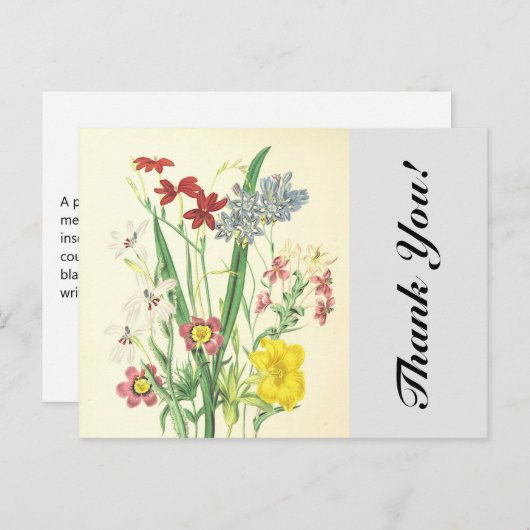 Farbenfrohe Blume und Pflanze, "Danke!" Postkarte (Vorne/Hinten)