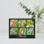 Farbenfrohe Blüten in Florida Postkarte (Stehend Vorderseite)