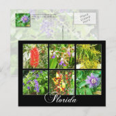 Farbenfrohe Blüten in Florida Postkarte (Vorne/Hinten)