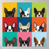 Farbenfrohe Boston Terriers Poster (Vorne)