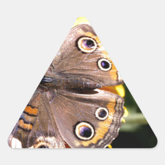 Farbenfrohe braune Schmetterlinge mit mehreren Aug Dreieckiger Aufkleber