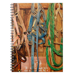 Farbenfrohe Bridlespferde,Tack,Tiere,Stall,blau,Br Notizblock