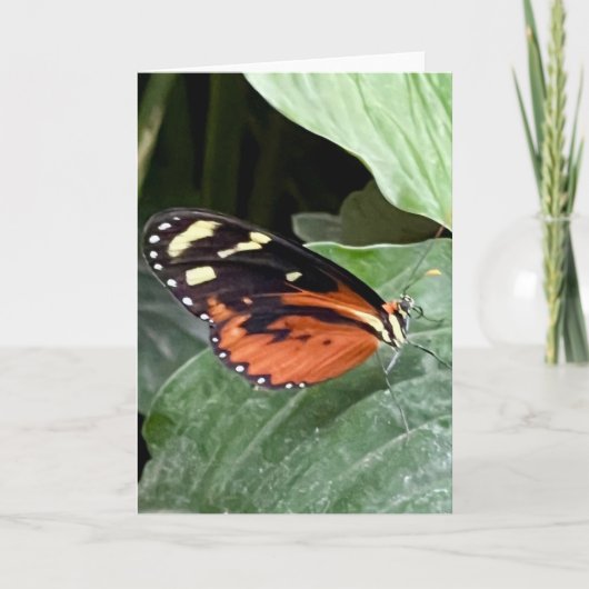 Farbenfrohe Butterfly-Begrüßung Karte (Vorderseite)