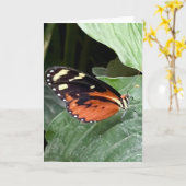 Farbenfrohe Butterfly-Begrüßung Karte (Gelbe Blume)