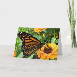 Farbenfrohe Butterfly-Begrüßung Karte