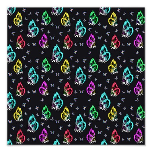 Farbenfrohe Butterfly Fotodruck (Vorne)