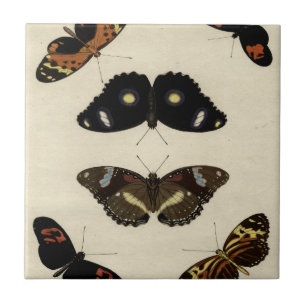Farbenfrohe Butterfly-Medley auf Creme Background Fliese