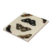 Farbenfrohe Butterfly-Medley auf Creme Background Fliese (Seite)