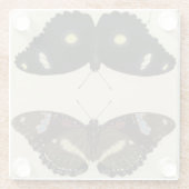 Farbenfrohe Butterfly-Medley auf Creme Background Glasuntersetzer (Rückseite)