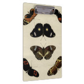 Farbenfrohe Butterfly-Medley auf Creme Background Klemmbrett (Rechts)