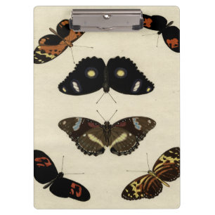 Farbenfrohe Butterfly-Medley auf Creme Background Klemmbrett