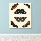 Farbenfrohe Butterfly-Medley auf Creme Background Leinwanddruck (Insitu (Holzboden))